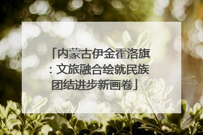 内蒙古伊金霍洛旗：文旅融合绘就民族团结进步新画卷