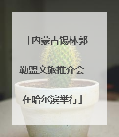 内蒙古锡林郭勒盟文旅推介会在哈尔滨举行