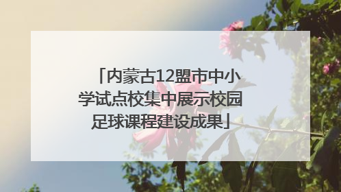 内蒙古12盟市中小学试点校集中展示校园足球课程建设成果