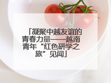 凝聚中越友谊的青春力量——越南青年“红色研学之旅”见闻