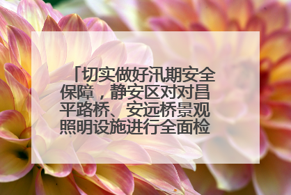 切实做好汛期安全保障，静安区对对昌平路桥、安远桥景观照明设施进行全面检查与维护