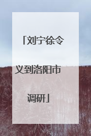 刘宁徐令义到洛阳市调研