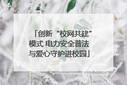 创新“校网共建”模式 电力安全普法与爱心守护进校园