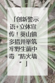 创新警示语+立体宣传！葵山镇多措并举筑牢野生菌中毒“防火墙”