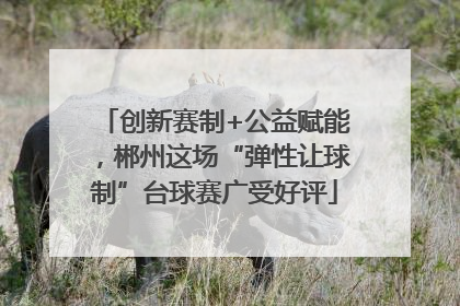 创新赛制+公益赋能，郴州这场“弹性让球制”台球赛广受好评
