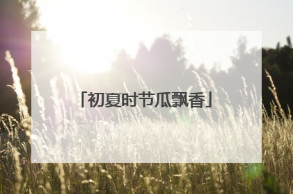 初夏时节瓜飘香