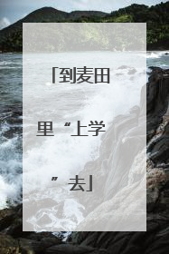到麦田里“上学”去