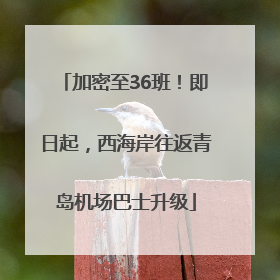 加密至36班！即日起，西海岸往返青岛机场巴士升级