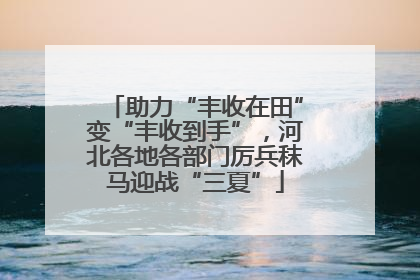 助力“丰收在田”变“丰收到手”，河北各地各部门厉兵秣马迎战“三夏”