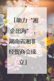 助力“湘企出海”，湖南省湘非经贸商会成立