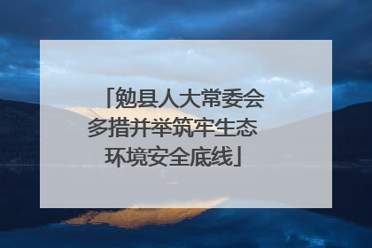 勉县人大常委会多措并举筑牢生态环境安全底线
