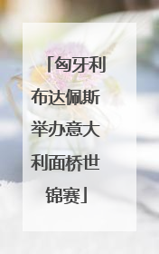 匈牙利布达佩斯举办意大利面桥世锦赛