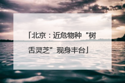 北京：近危物种“树舌灵芝”现身丰台