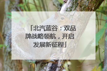 北汽蓝谷：双品牌战略领航，开启发展新征程