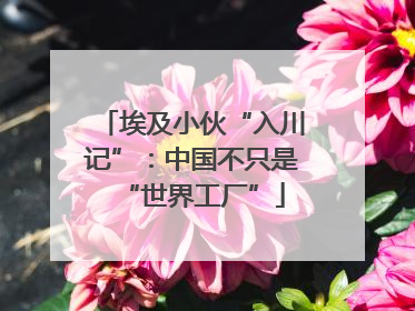 埃及小伙“入川记”：中国不只是“世界工厂”
