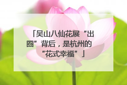 吴山八仙花展“出圈”背后，是杭州的“花式幸福”