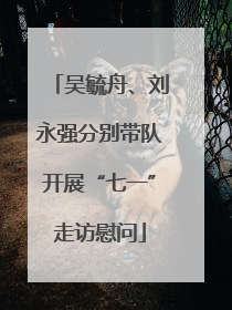 吴毓舟、刘永强分别带队开展“七一”走访慰问