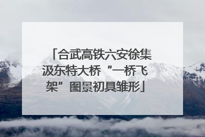 合武高铁六安徐集汲东特大桥“一桥飞架”图景初具雏形