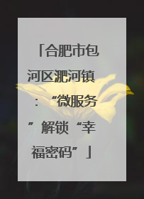 合肥市包河区淝河镇：“微服务”解锁“幸福密码”