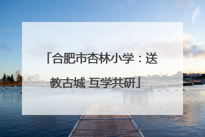 合肥市杏林小学：送教古城 互学共研