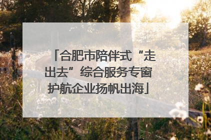 合肥市陪伴式“走出去”综合服务专窗护航企业扬帆出海