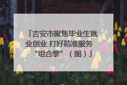吉安市聚焦毕业生就业创业 打好精准服务“组合拳”（图）