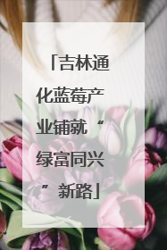 吉林通化蓝莓产业铺就“绿富同兴”新路