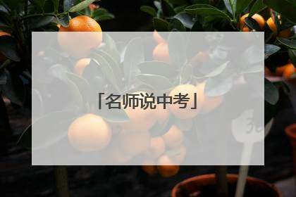 名师说中考