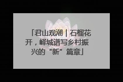 君山观潮｜石榴花开，峄城谱写乡村振兴的“新”篇章
