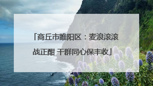 商丘市睢阳区：麦浪滚滚战正酣 干群同心保丰收