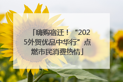 嗨购宿迁！“2025外贸优品中华行”点燃市民消费热情