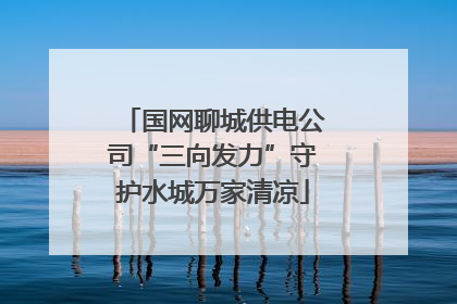 国网聊城供电公司“三向发力”守护水城万家清凉