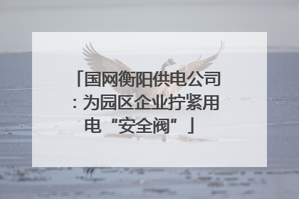 国网衡阳供电公司：为园区企业拧紧用电“安全阀”
