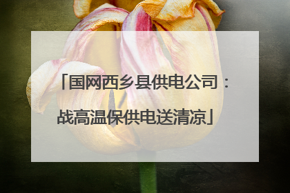 国网西乡县供电公司：战高温保供电送清凉
