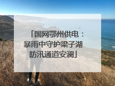 国网鄂州供电：暴雨中守护梁子湖防汛通道安澜