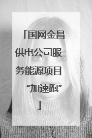 国网金昌供电公司服务能源项目“加速跑”