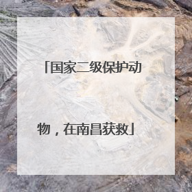 国家二级保护动物，在南昌获救