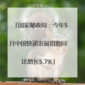 国家邮政局：今年5月中国快递发展指数同比增长5.7%
