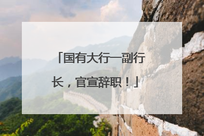 国有大行一副行长，官宣辞职！
