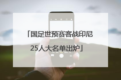 国足世预赛客战印尼25人大名单出炉