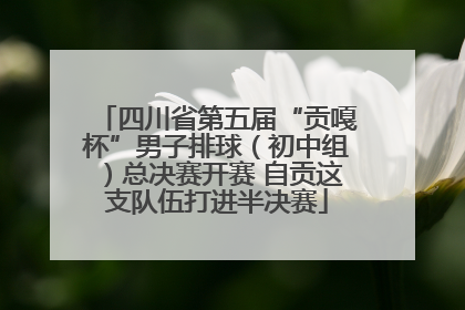四川省第五届“贡嘎杯”男子排球（初中组）总决赛开赛 自贡这支队伍打进半决赛