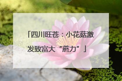 四川旺苍：小花菇激发致富大“蘑力”