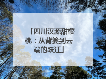 四川汉源甜樱桃：从背篓到云端的跃迁