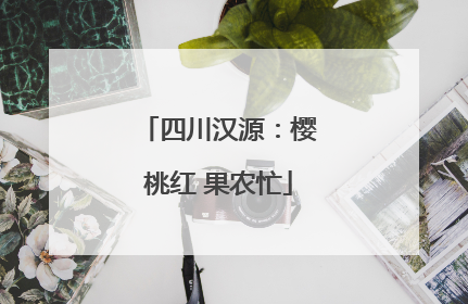 四川汉源：樱桃红 果农忙