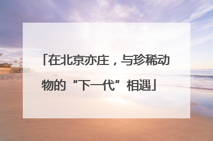 在北京亦庄，与珍稀动物的“下一代”相遇