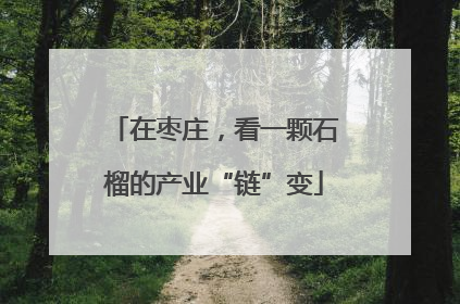 在枣庄，看一颗石榴的产业“链”变