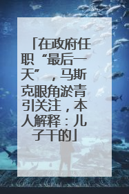 在政府任职“最后一天”，马斯克眼角淤青引关注，本人解释：儿子干的