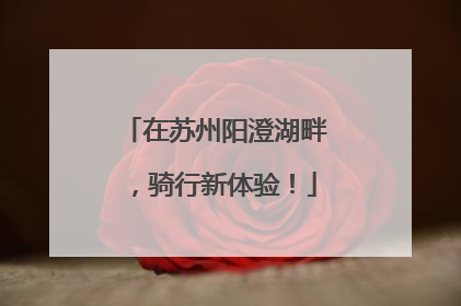 在苏州阳澄湖畔，骑行新体验！