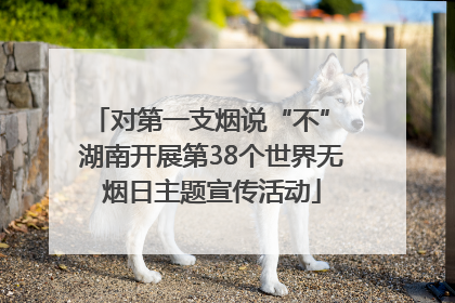 对第一支烟说“不” 湖南开展第38个世界无烟日主题宣传活动
