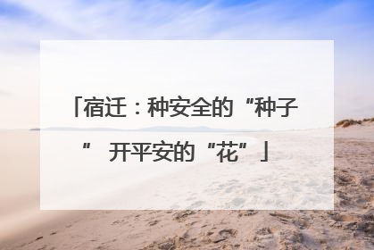 宿迁：种安全的“种子” 开平安的“花”